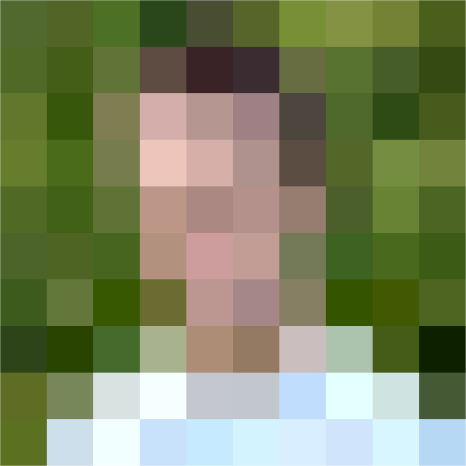 Eli Standard pixelated